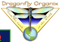 Dragonfly Organix